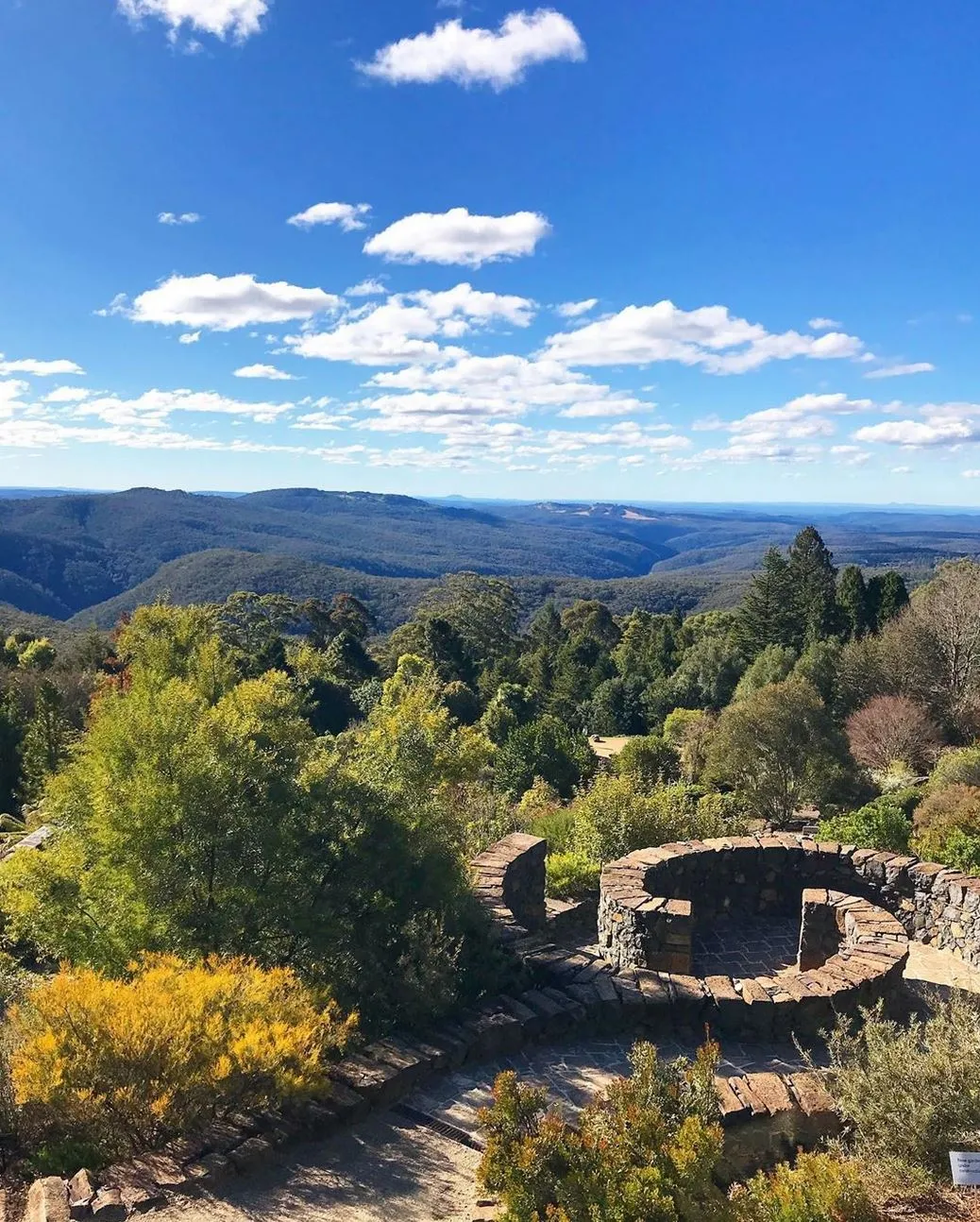 Future Smart Australia | What Is There To Do In Blue Mountains In The Winter? Blue Mountains Botanic Garden