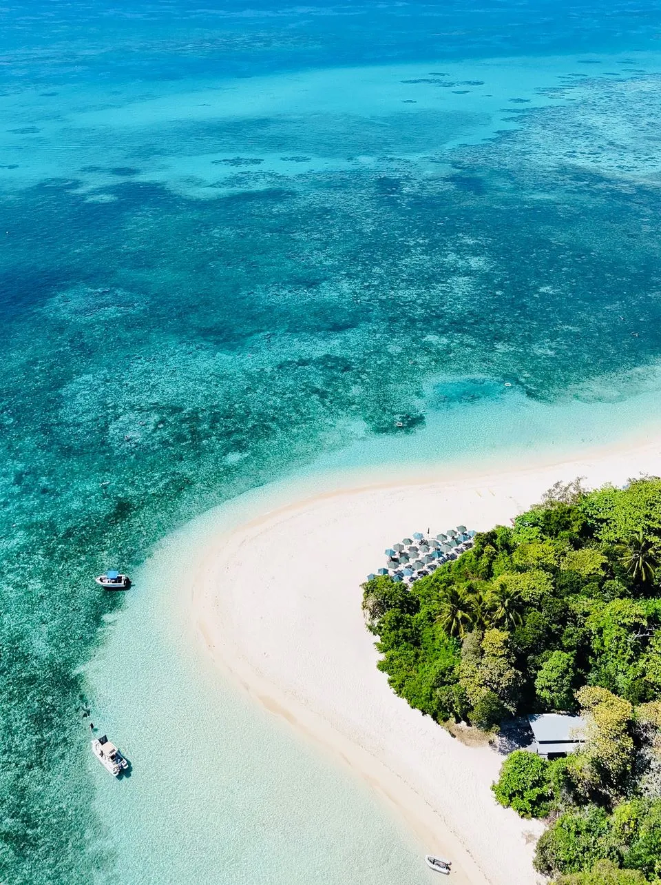 Future Smart Australia | Which Great Barrier Reef Island Should You Visit First? Green Island