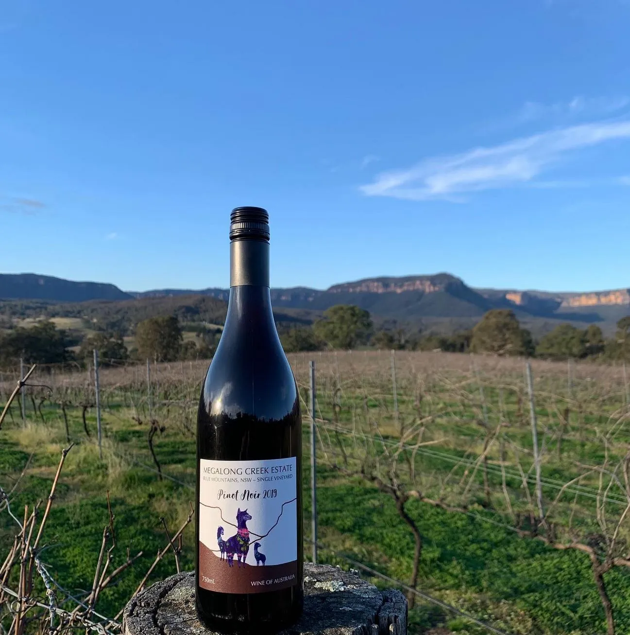 Future Smart Australia | What Is There To Do In Blue Mountains In The Winter? Megalong Creek Estate