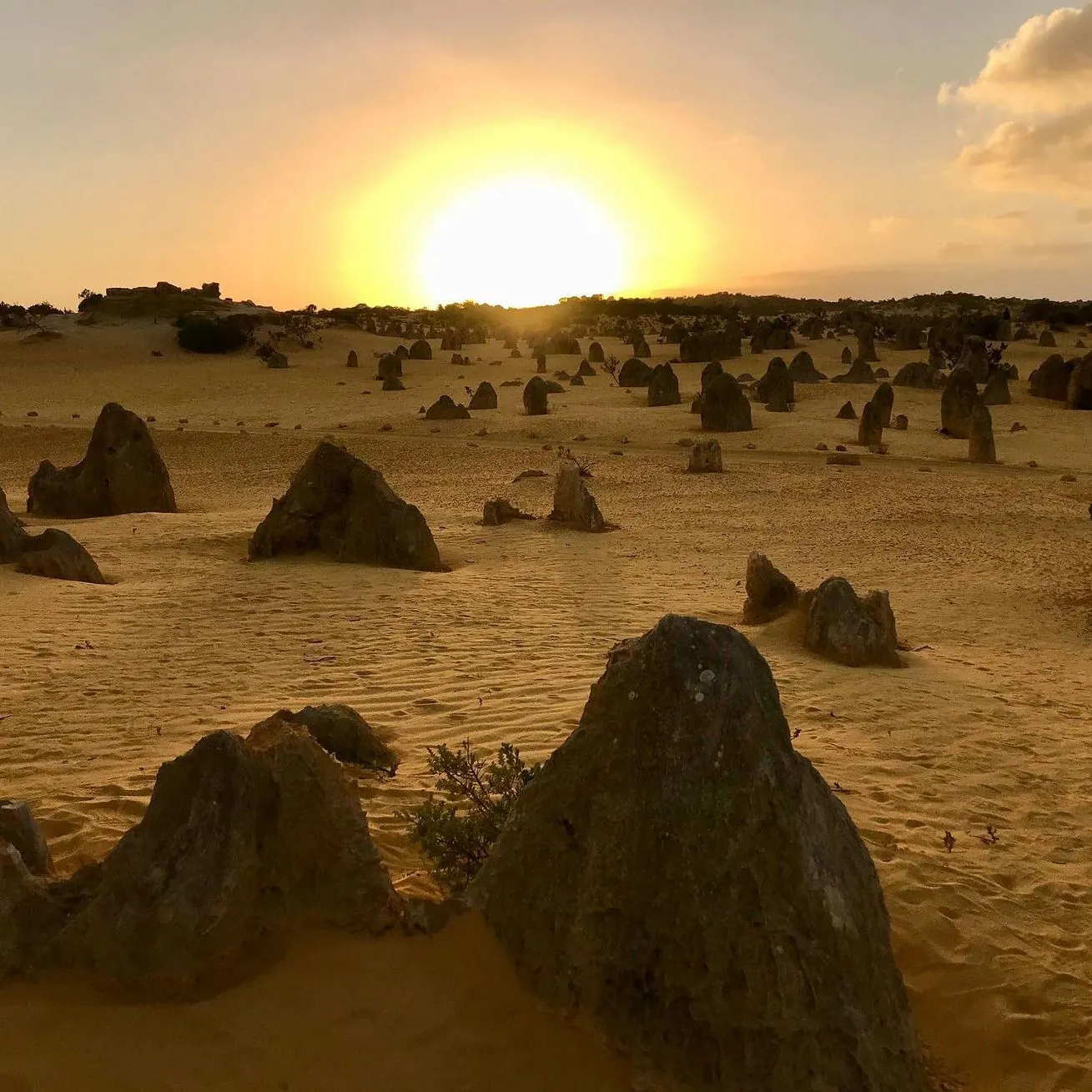 Pinnacles Desert Discovery Centre