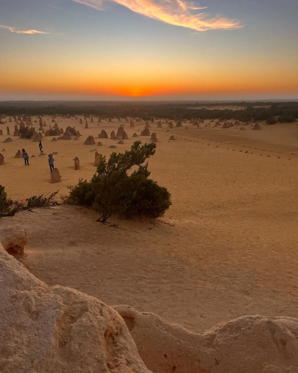 Pinnacles tour