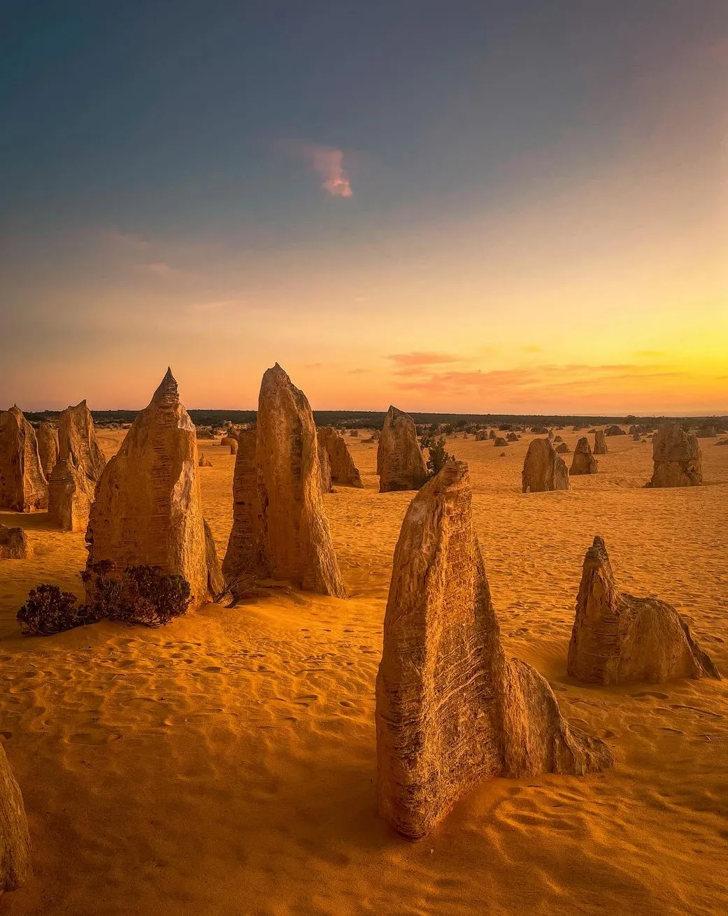 Pinnacles tours