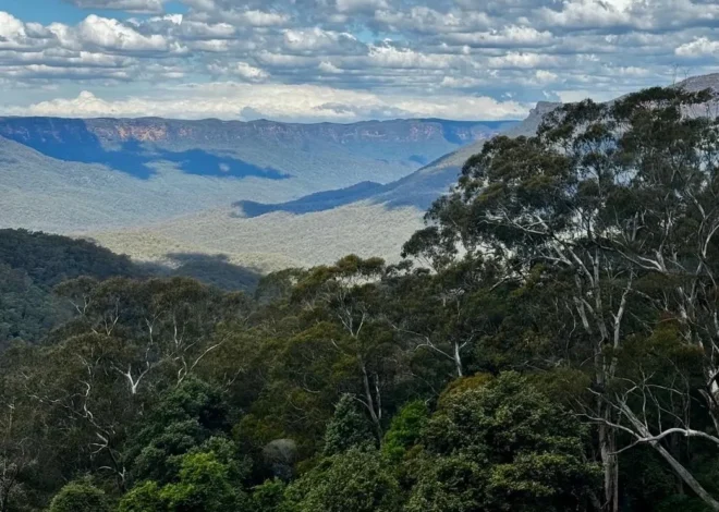 What Is There To Do In Blue Mountains In The Winter?