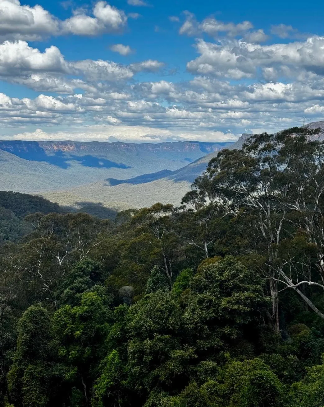 What Is There To Do In Blue Mountains In The Winter?