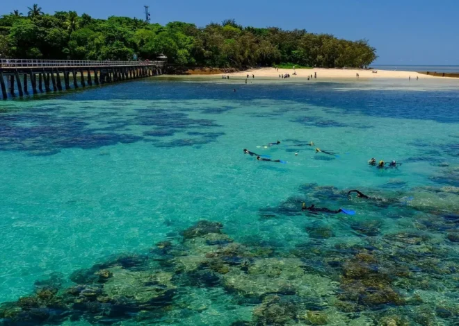 Which Great Barrier Reef Island Should You Visit First?