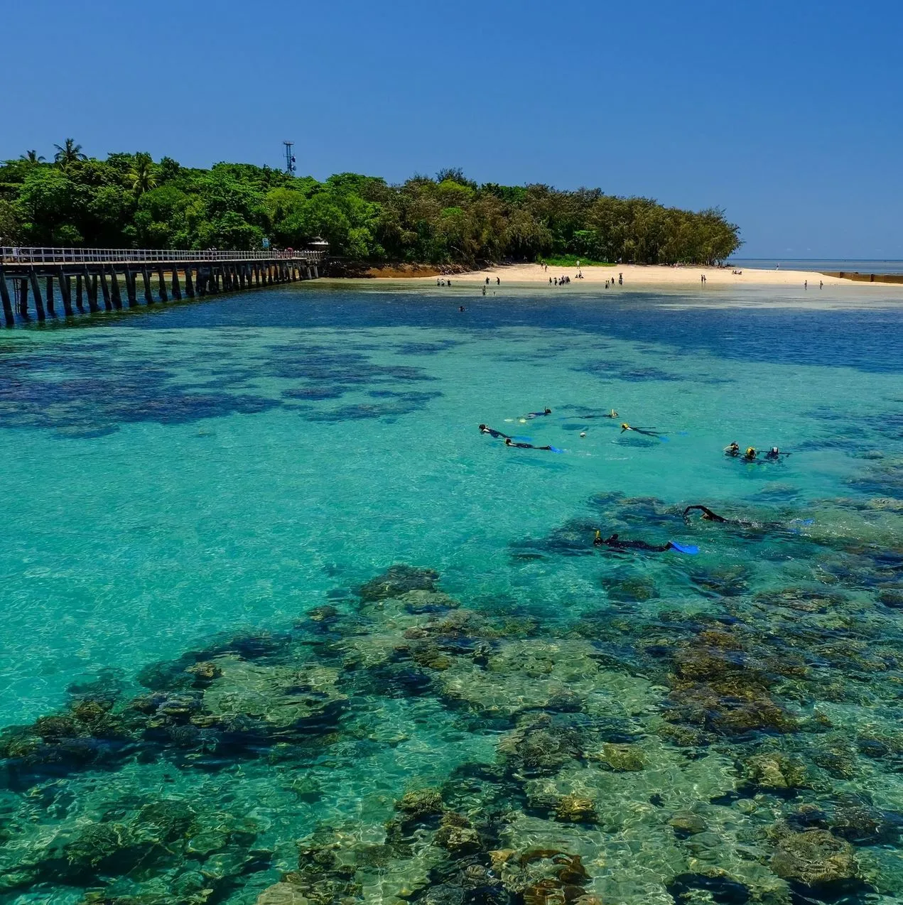 Which Great Barrier Reef Island Should You Visit First?